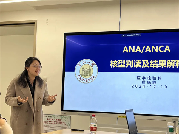 3333.jpg