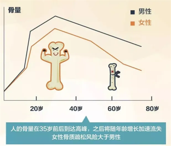 骨骼1111.png 骨骼1111.png
