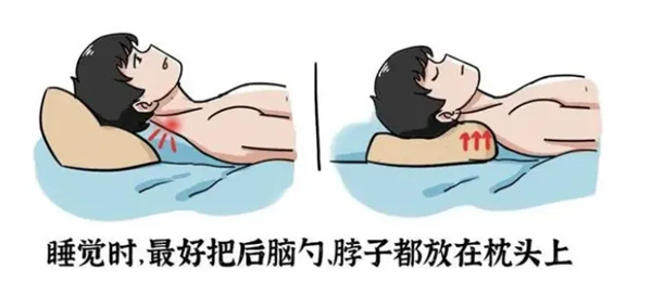 8.jpg 8.jpg