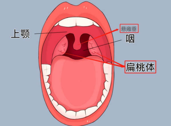 微信图片_20250731081711.jpg