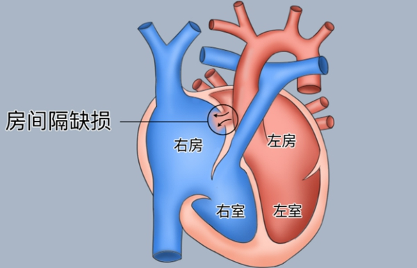 微信图片_20250825081216.jpg