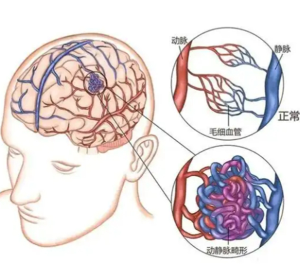 微信图片_20250821081204.jpg 微信图片_20250821081204.jpg