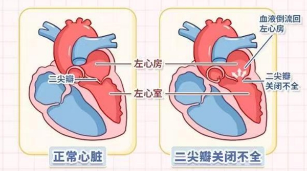 微信图片_20250822081358.jpg