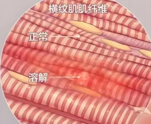 微信图片_2025-09-03_081603_399.jpg