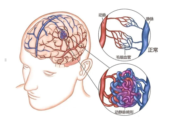 微信图片_2025-09-10_081209_954.jpg